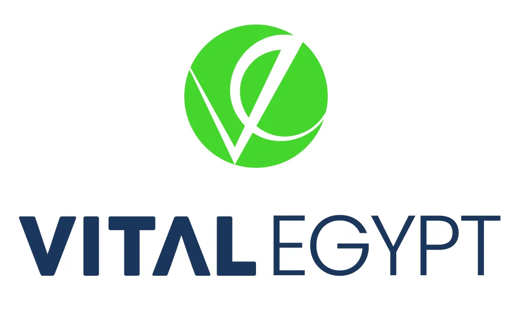 Vital Egypt